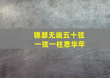 锦瑟无端五十弦 一弦一柱思华年